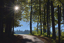 Der goldene Herbst steht vor der Tür